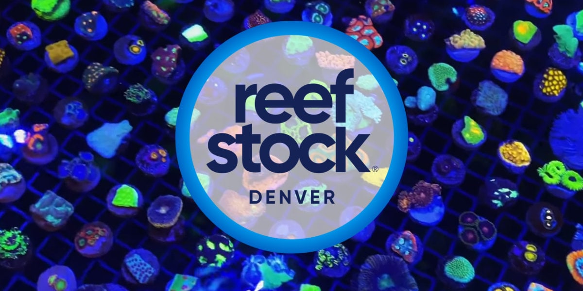 Reef Stock Denver